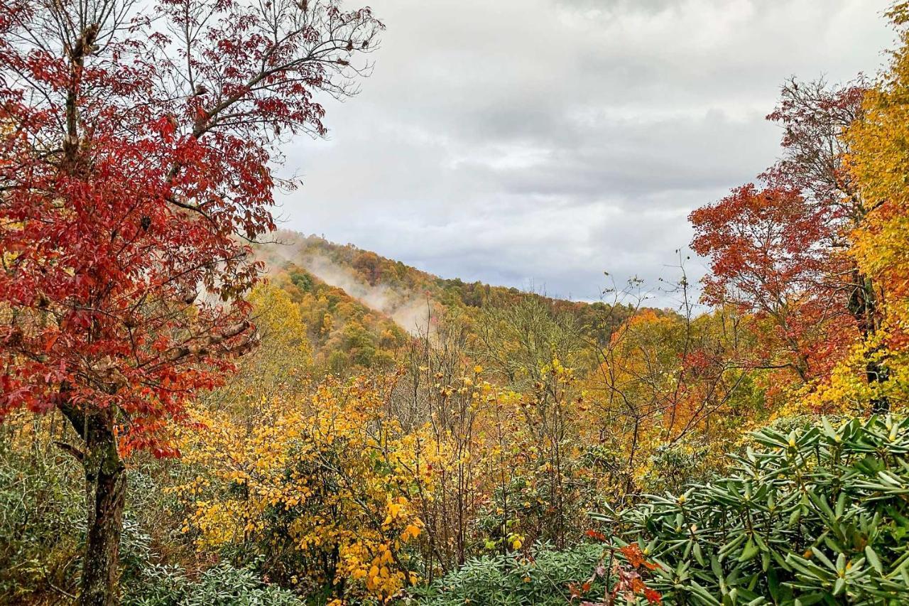 Private&Peaceful Spruce Pine Cabin on 8 Acres! Exterior foto