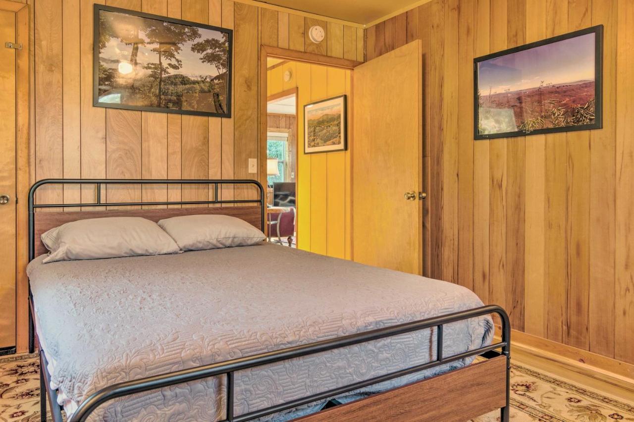 Private&Peaceful Spruce Pine Cabin on 8 Acres! Exterior foto